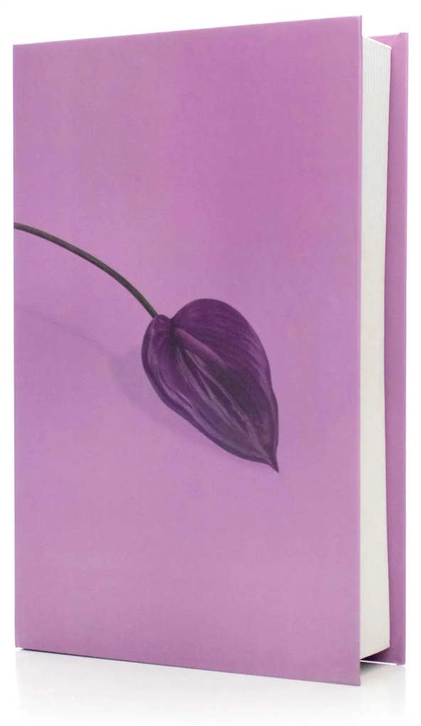 Livro Decorativo de Papel para Ornamentação Lavanda 27x14x5cm - D'Rossi