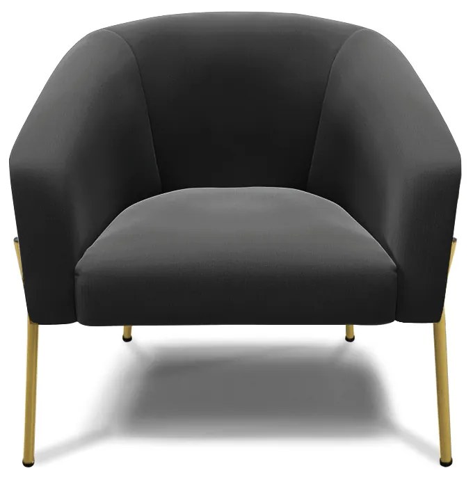 Poltrona Decorativa Pé de Ferro Dourado Kit 2 Stella Suede Preto D03 - D'Rossi