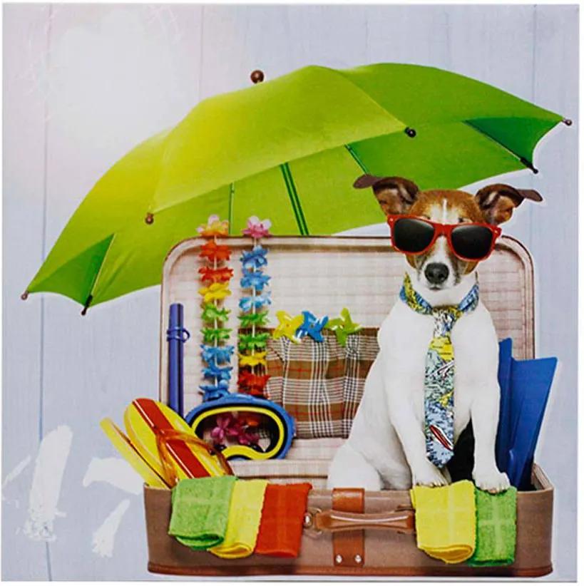 Tela Impressa Vacation Fashion Dog Fullway - 40x40x1,8 cm