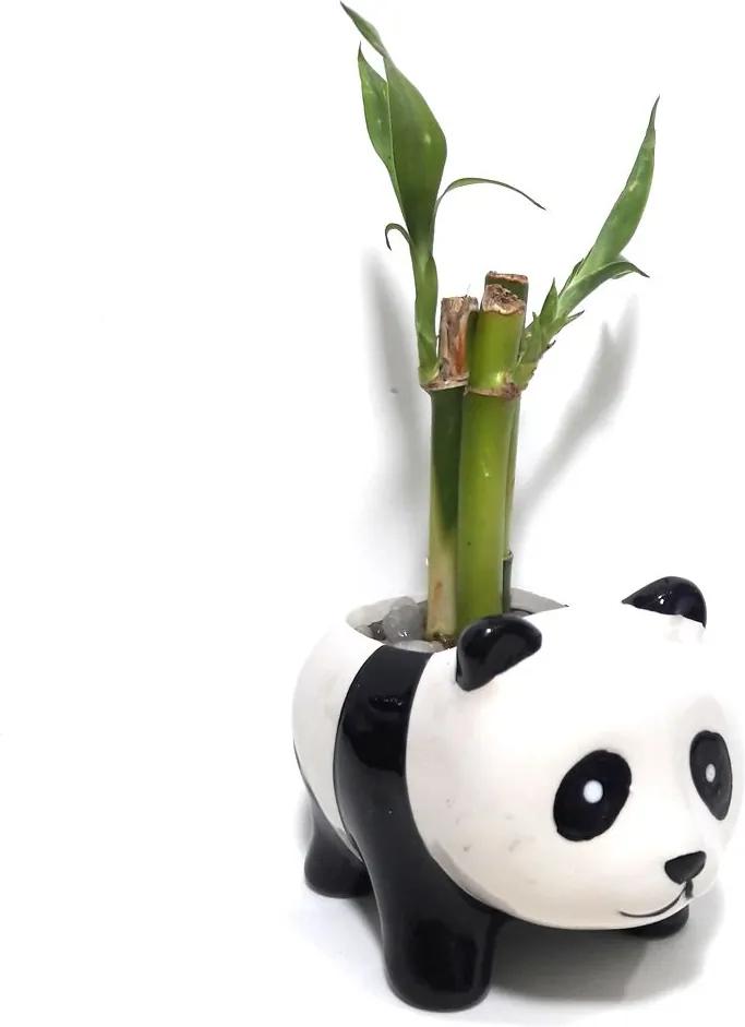 Panda em Cerâmica com Três Bambus da Sorte (Lucky Bamboo)