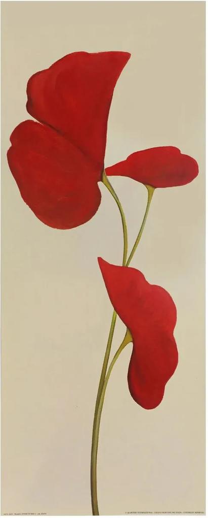 Gravura Para Quadros Flores Vermelhas Destacadas Com Fundo Bege 20x50cm