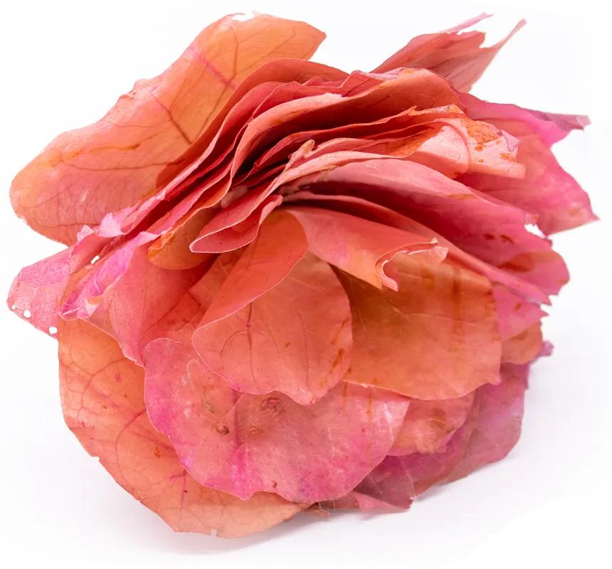 Rosa Artificial Cerejinha Desidratada com Haste Arame Real Toque 54 cm F04 - D'Rossi