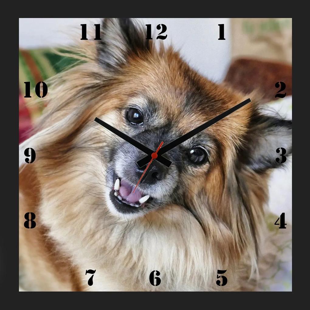 Relógio De Parede Personalizado Pet Cachorro Chihuahua 30x30cm