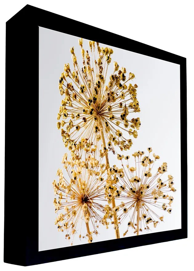 Quadro Decorativo 50x70 cm Flor 020 com Moldura Laqueada Preto G64 - Gran Belo