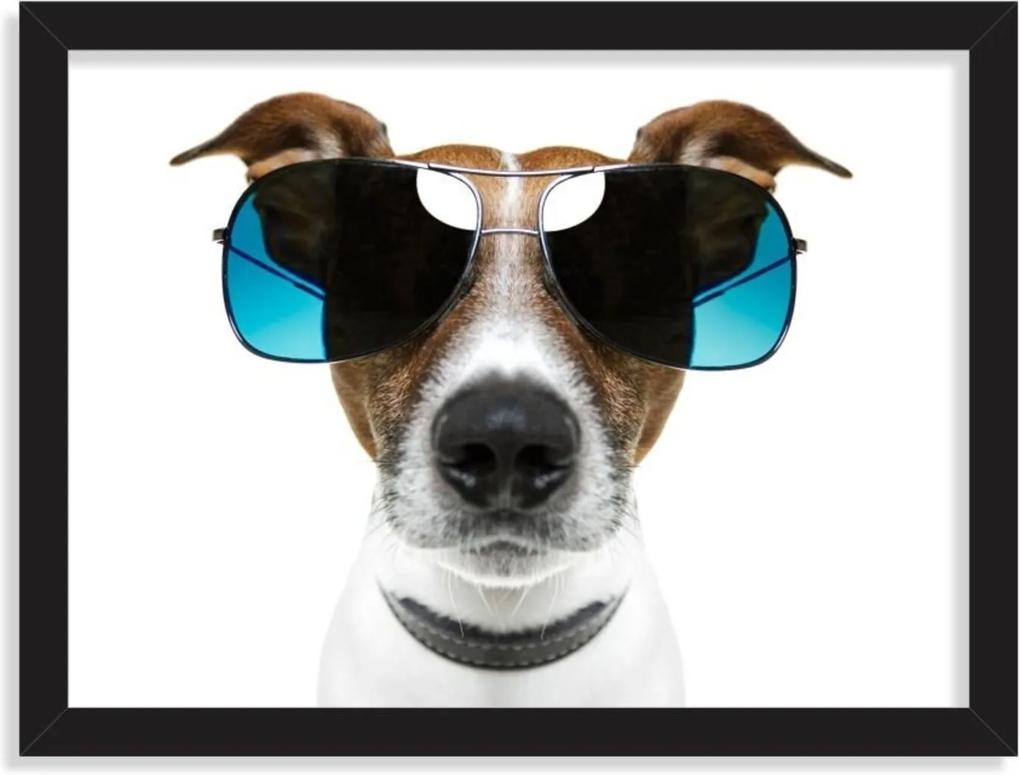 Quadro Decorativo Cachorro Jack Russell de Óculos Preto - Médio