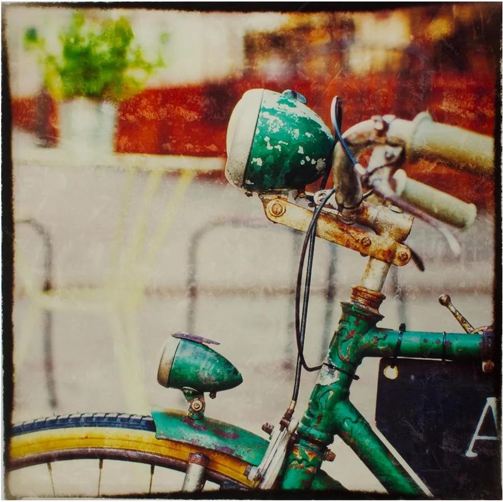 Tela Impressa Frente de Bike Verde Fullway - 60x60 cm