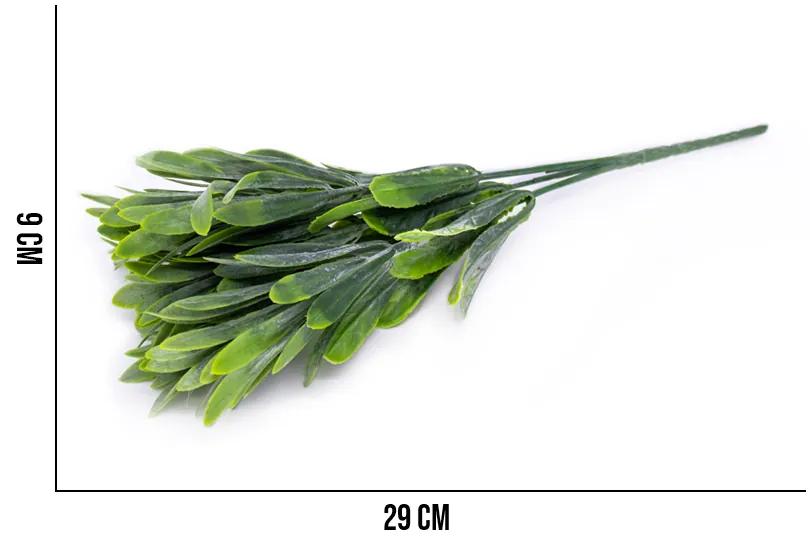 Folhagem Podocarpus com Powder X5  para Cerca Viva Verde 29 cm F04 - D'Rossi