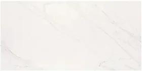 Porcelanato Polido Elizabeth Giotto Esmaltado "A" 50x101 Retificado