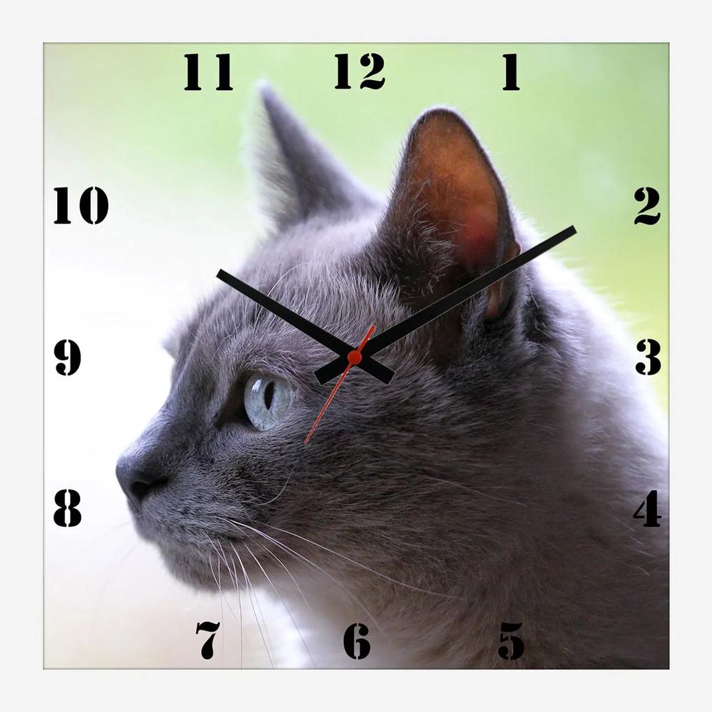 Relógio De Parede Personalizado Pet Gato Cinza 30x30cm