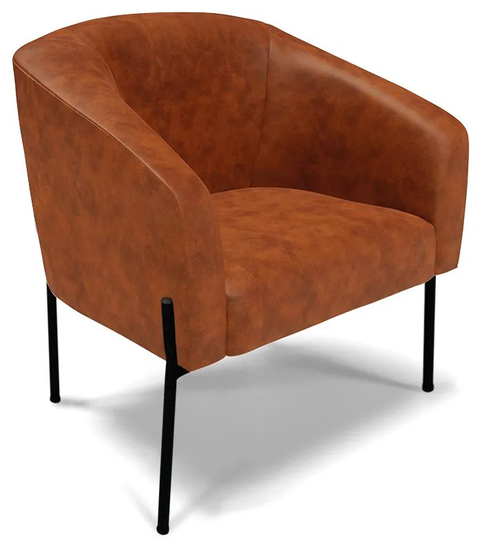 Poltrona Decorativa Pé de Ferro Preto Stella Sintético PU D03 - D'Rossi - Nozes