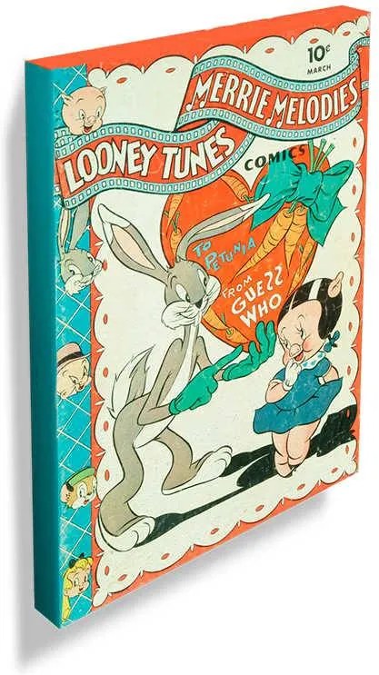 Tela Looney Tunes Vintage Colection To Petunia Colorido em Madeira