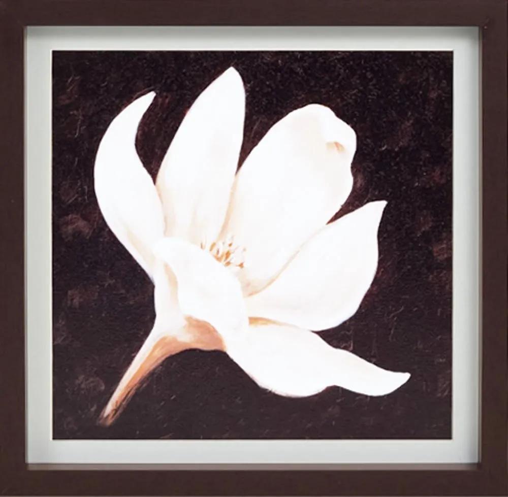 Quadro Decorativo Flor Branca 40x40cm Com Moldura Marrom