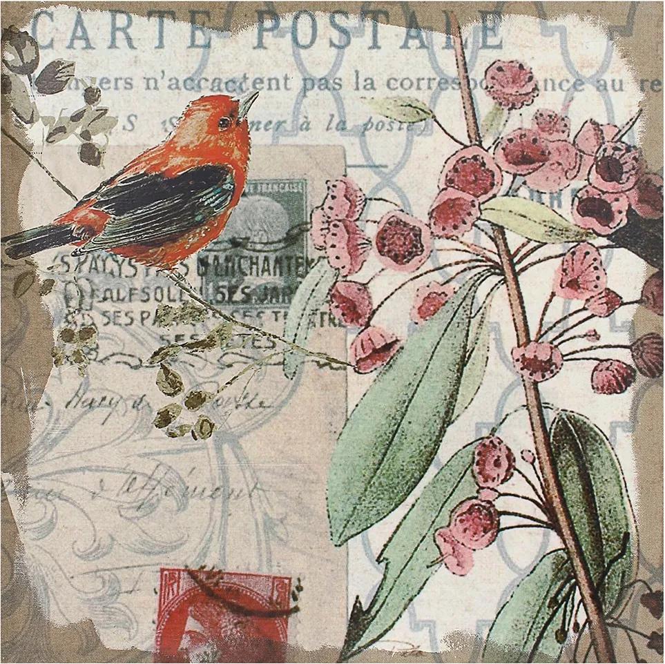 Tela Pássaro Vermelho Cartão Postal Oldway - 80x80 cm