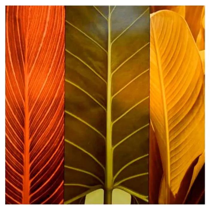 Quadro Decorativo Folhas Coloridas - KF 50093 30x30 (Moldura 312)