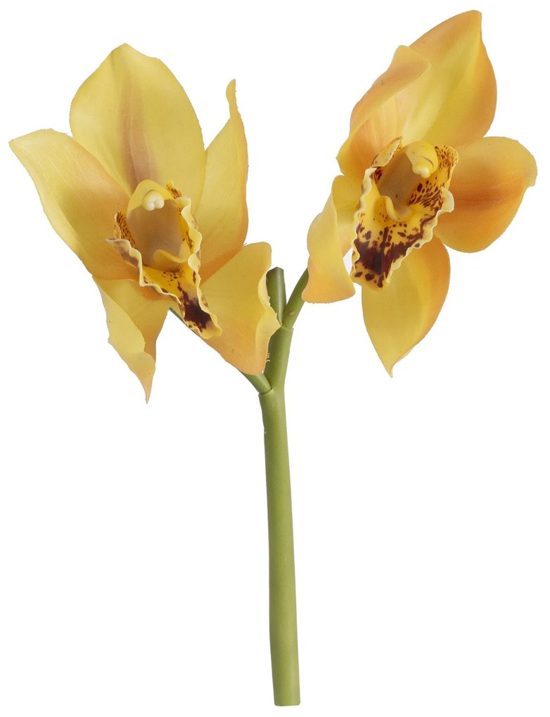 Orquidea Cymbidium Pick 25 Cm - Amarelo