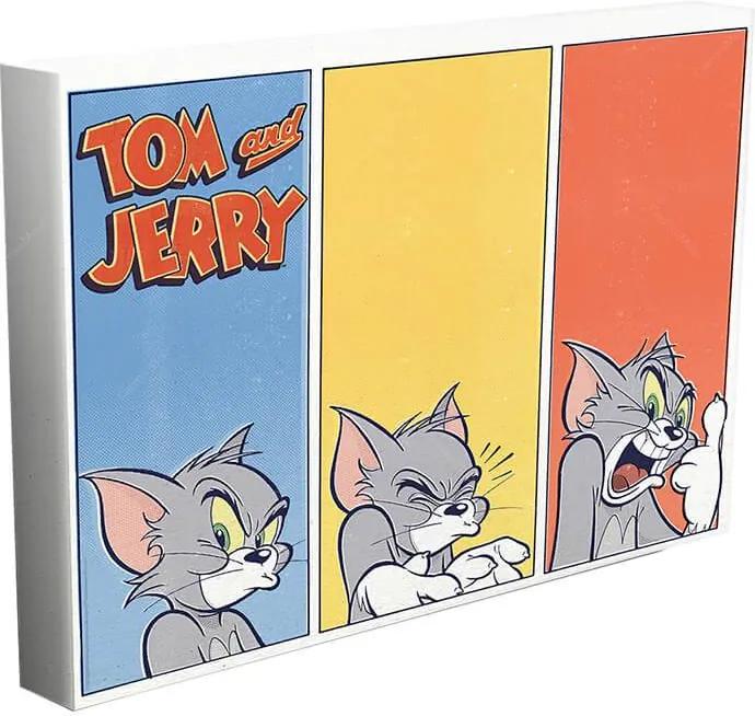 Tela Hanna Barbera Tom And Jerry Cat Different Face Colorido - Urban
