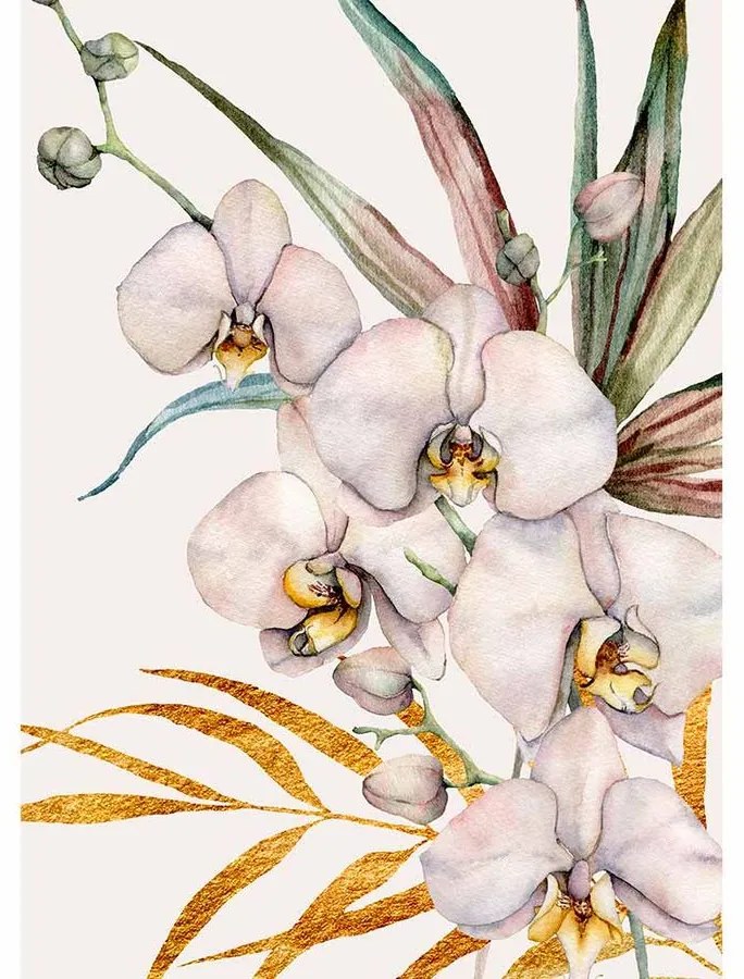 Quadro Decorativo Pétalas Brancas - KF 55431 30x40