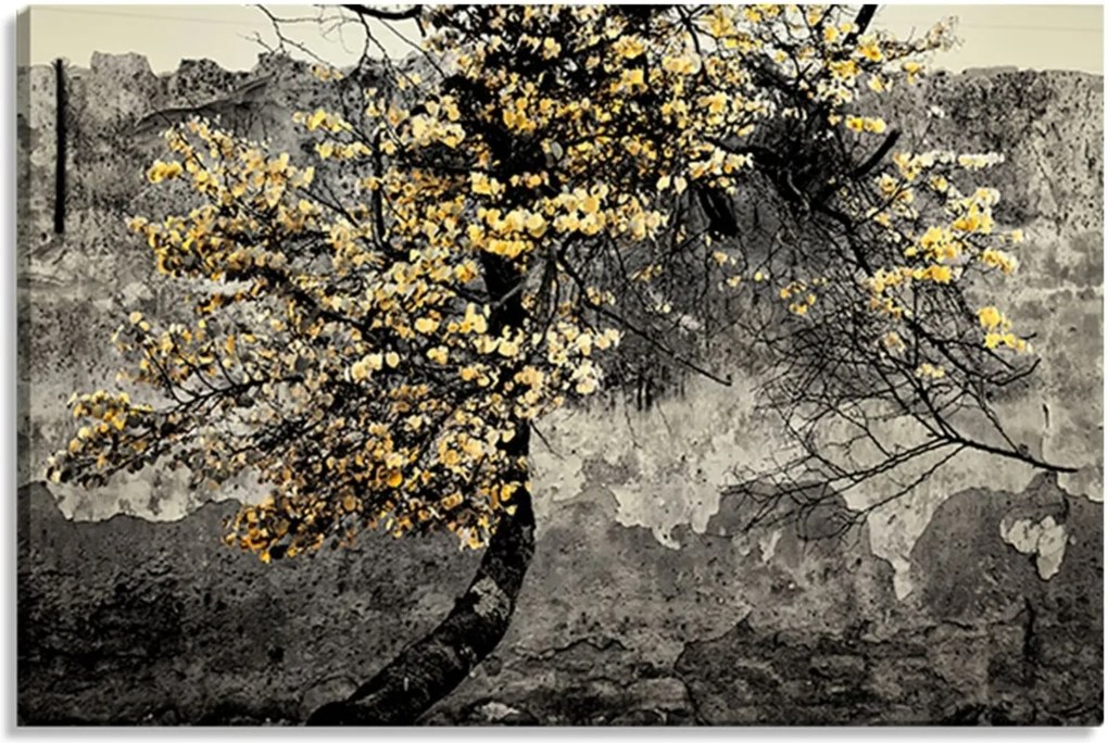 Tela Decorativa Estilo Ilustração Árvore Efex Mágico - Tamanho: 60x90cm (A-L) Unico