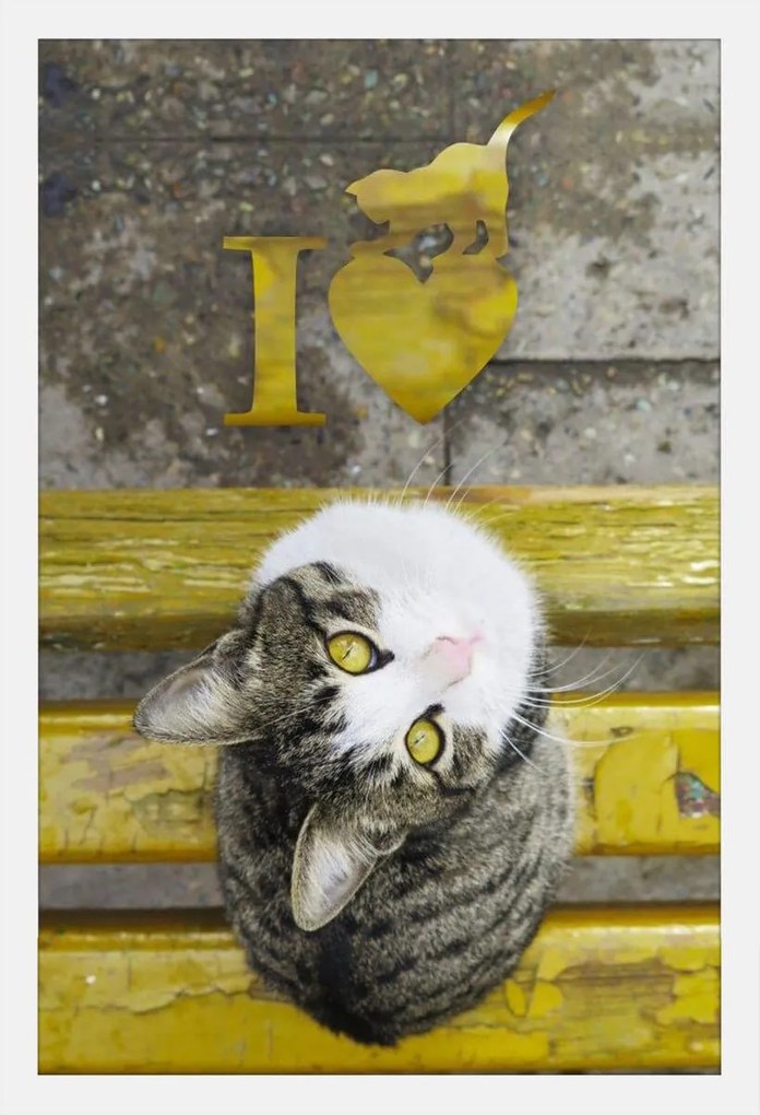 Quadro De Gato Em Banco Amarelo Com Frase Eu Amo Gatos Moldura Branca 40x60cm