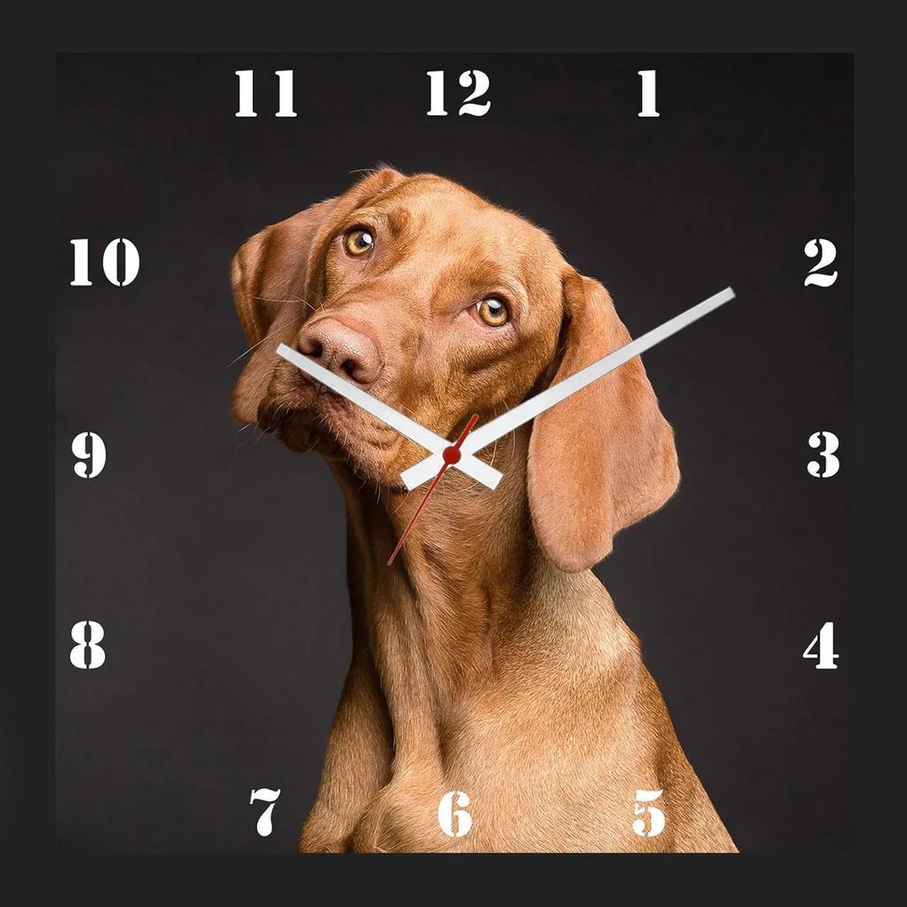 Relógio De Parede Criativo Pet Cachorro Vizsla 30x30cm