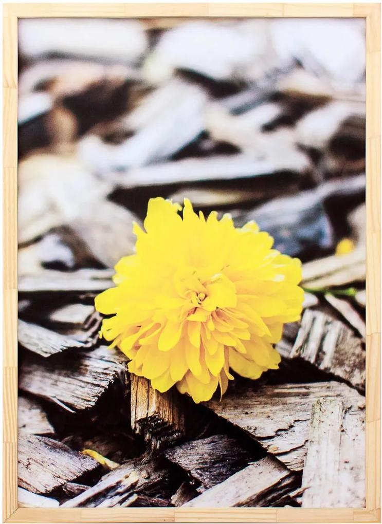 Quadro Decorativo Com Impressão Personalizada Flor Amarela 50x70cm