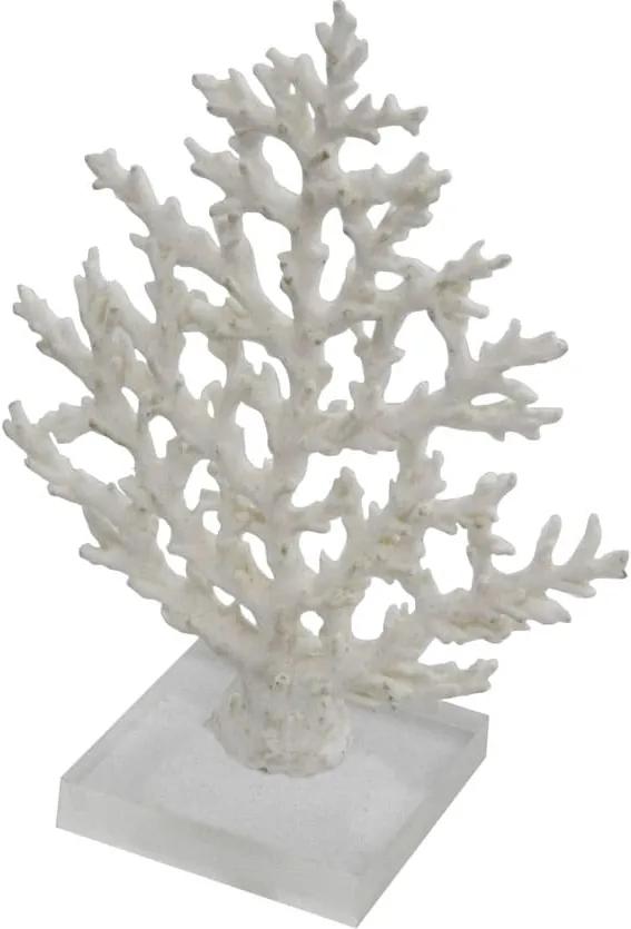 Escultura de Coral em Resina Branca e Base em Acrílico - 20x15x08cm
