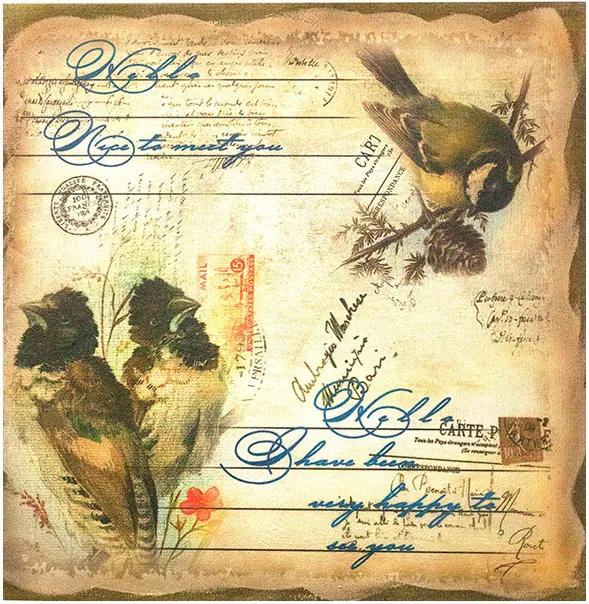 Tela Impressa de Linho 3 Pássaros Postal