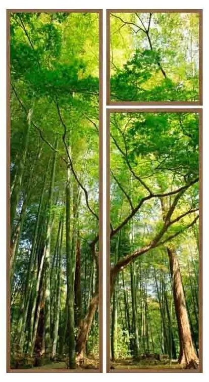 Kit 3 Quadros Decorativos Forest Moldura Amadeirada - FR 51241
