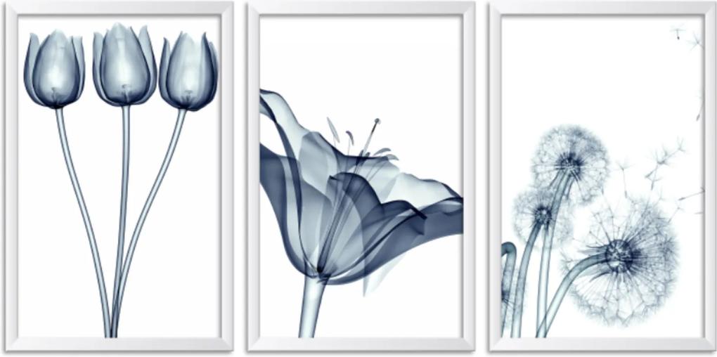 Quadro Oppen House 60x120cm Flores Abstrato Transparentes Moldura Branca Estilo Raio-x Decorativo Interiores Mod:OH0014