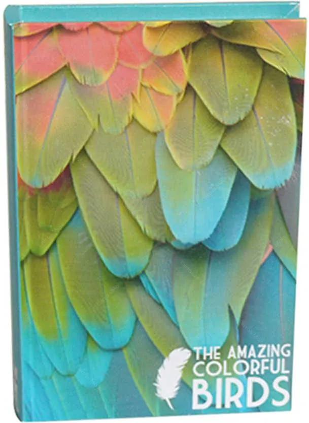 Book Box Birds Colorido em Madeira - Urban - 25x17 cm