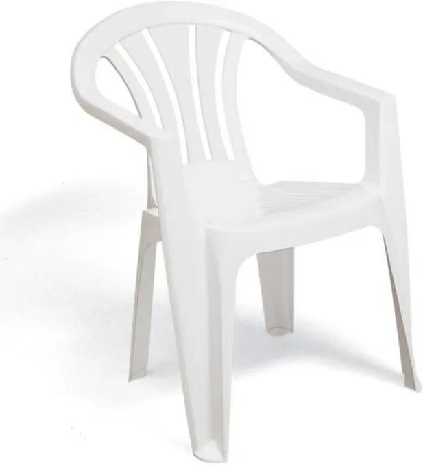Cadeira Plástica Tramontina Bertioga, Branca - 92207010