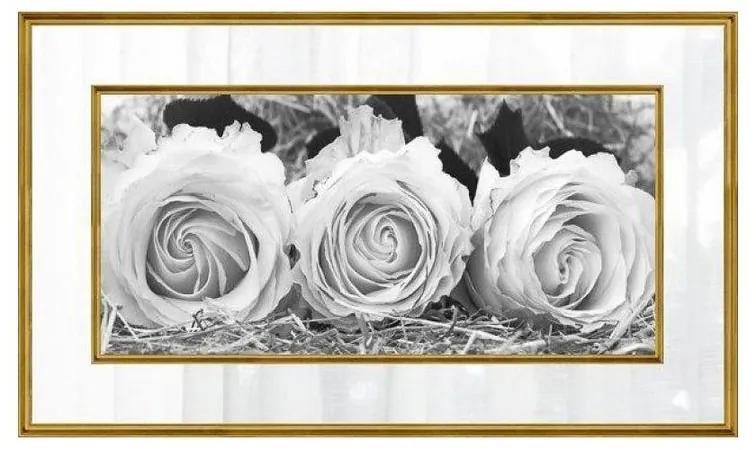 Quadro Decorativo Rosas Tons de Cinza 1 - FR 47744