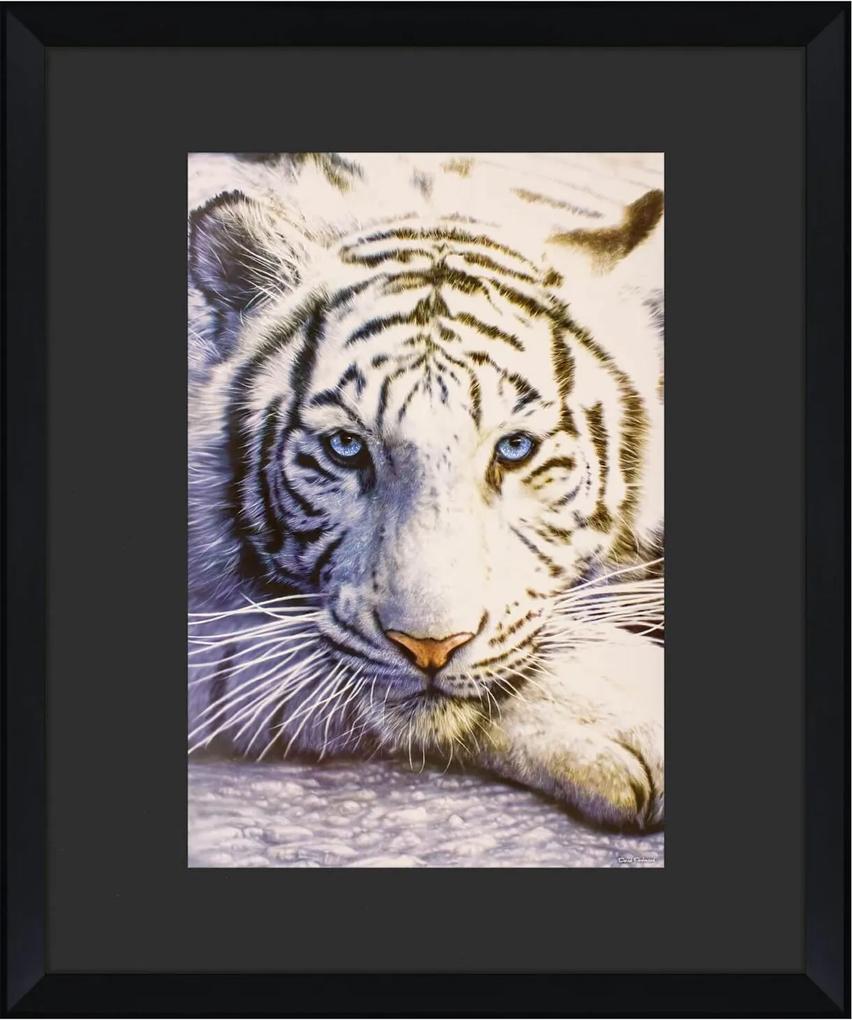 Quadro Decorativo Tigre Branco Moldura Alto Padrão Chanfrada 110x130cm