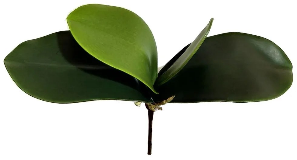 Folha Orquidea Artificial Verde 22 cm - D'Rossi