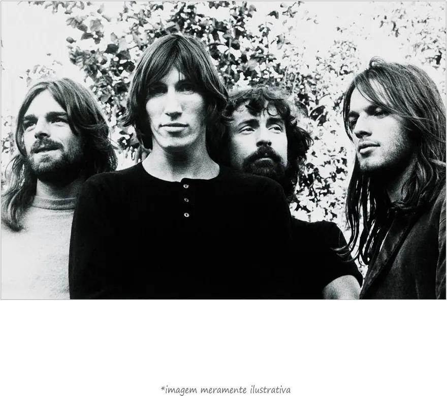 Poster Pink Floyd (20x30cm, Apenas Impressão)