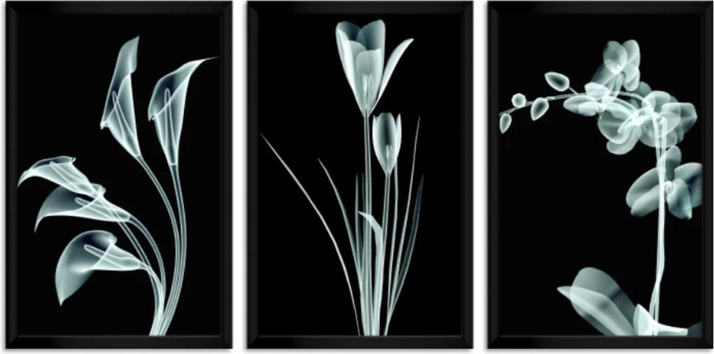 Quadro Oppen House 60x120cm Flores Abstrato Transparentes Moldura Preta Estilo Raio-x Decorativo Interiores Mod:OH004