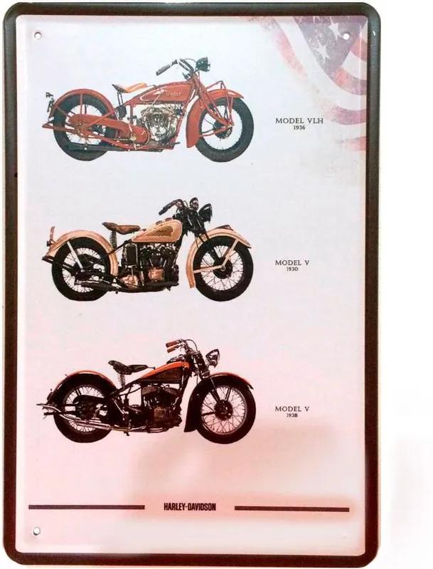 Placa Decorativa de Metal Evolução Harley Davidson 30 x 20 cm