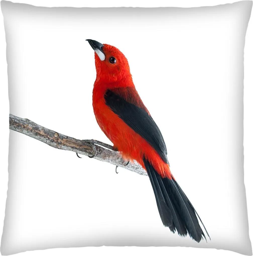 Almofada Colours Creative Photo Decor Pássaro vermelho - tamanho 45 x 45 cm Branco