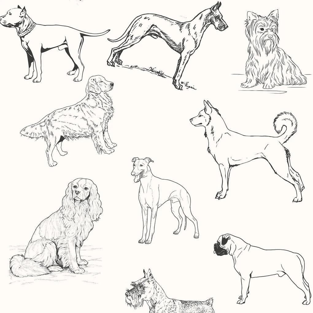 Papel de parede adesivo animal desenho cachorros