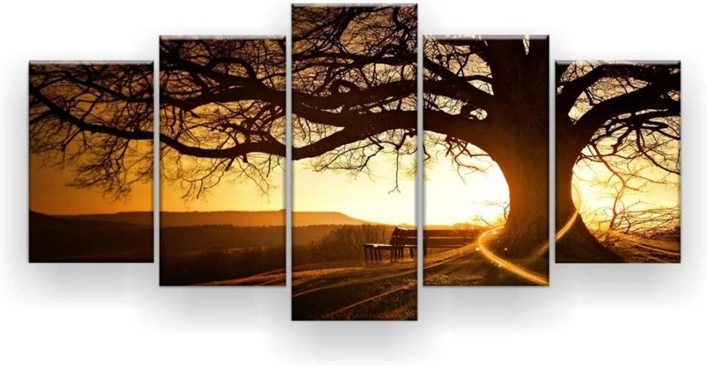 Quadro Decorativo Árvore Centenária Ao Pôr Do Sol 5 Peças