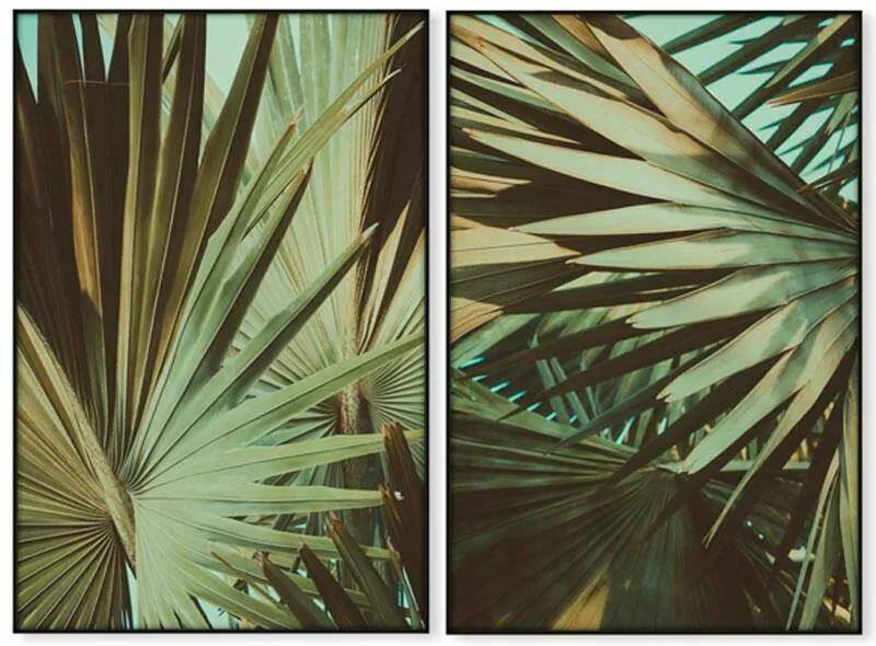 Conjunto de Quadros Palmeira da Califórnia