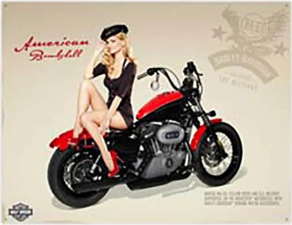 Placa Decorativa Harley-Davidson Pin-up 1