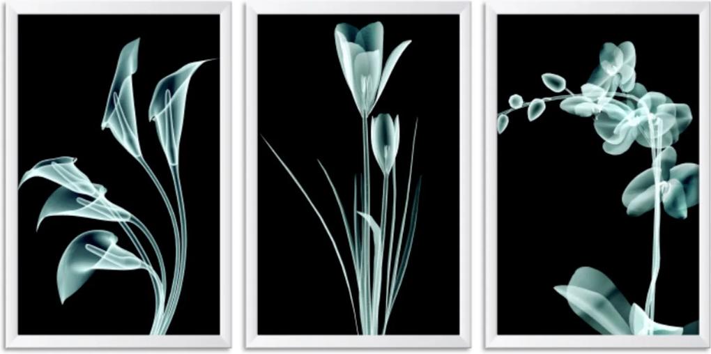Quadro Oppen House 60x120cm Flores Abstrato Transparentes Moldura Branca Estilo Raio-x Decorativo Interiores Mod:OH0020