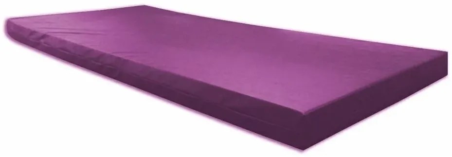 Colch�O Para Visita / Colchonete Orthovida 180X65X4Cm (Vinho)