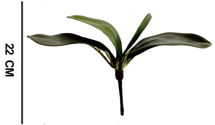 Folha Orquidea Artificial Verde 22 cm - D'Rossi