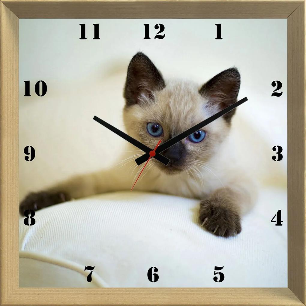 Relógio De Parede Personalizado Criativo Pet Gato Filhote 30x30cm
