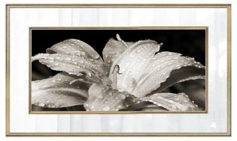 Quadro Decorativo Lírio Tons de Cinza 1 - FR 47687