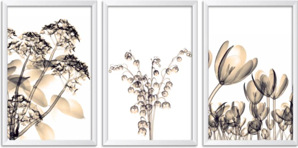 Quadro Oppen House    60x120cm Flores Abstrato Transparentes Moldura Branca Estilo Raio  x Decorativo Interiores Mod:OH0018