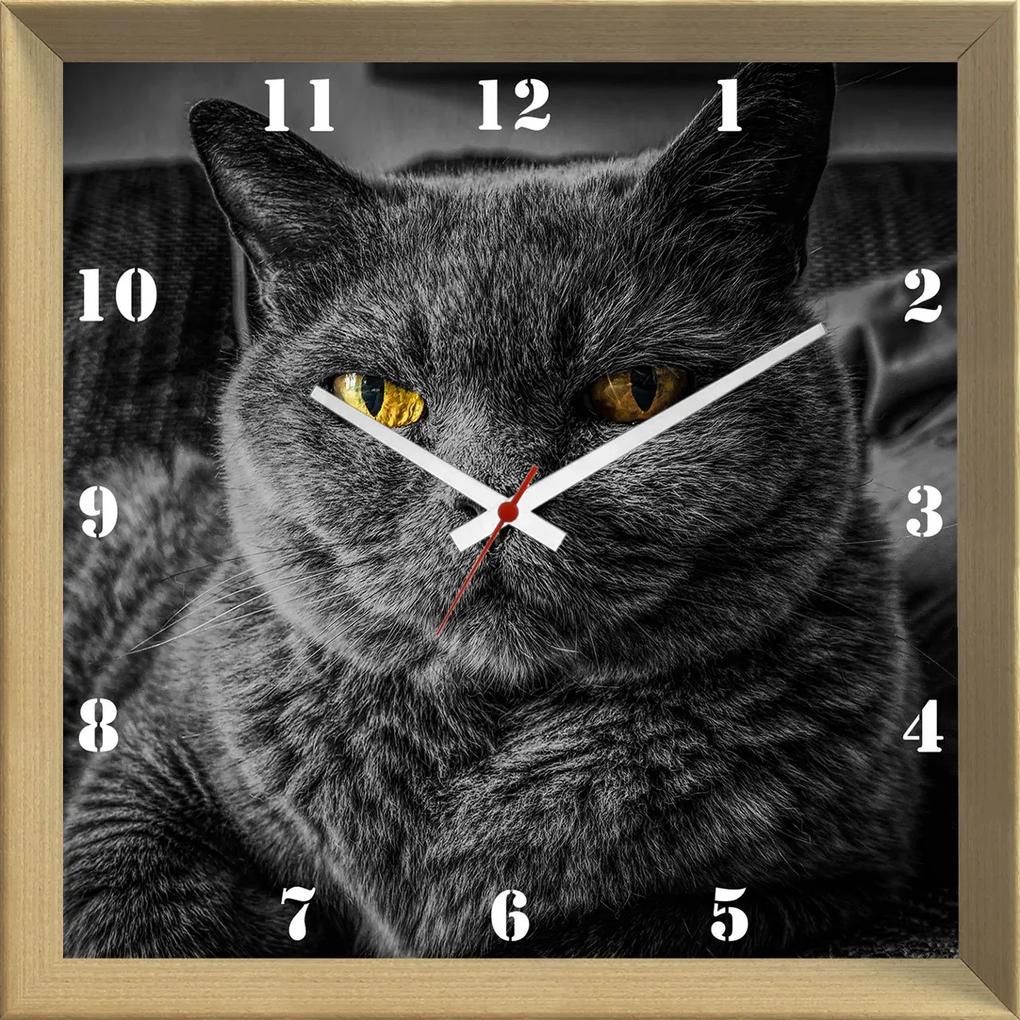 Relógio De Parede Criativo Pet Gato Cinza Chartreux De Olhos Amarelos 30x30cm