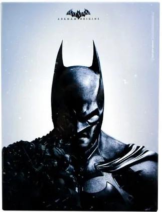 Quadro em Metal Batman Arkham